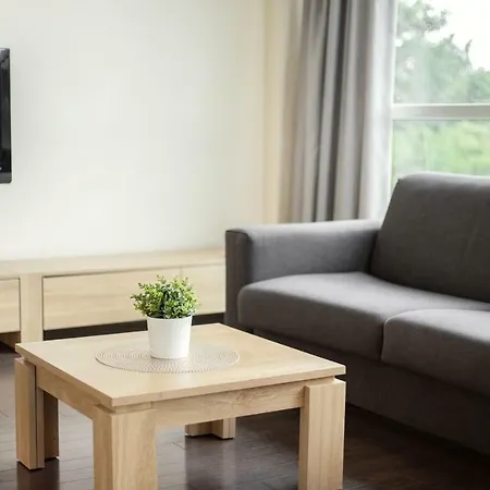 Apartment Zalgirio Vilnius