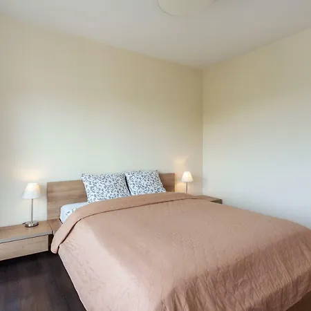 Zalgirio Вильнюс