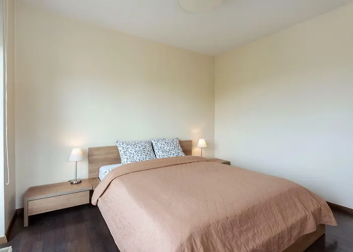 Zalgirio ヴィリニュス